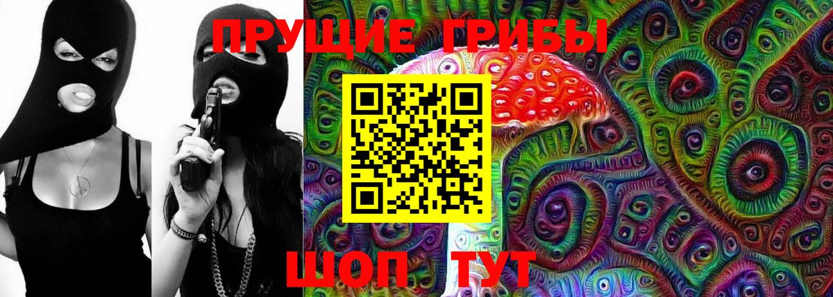 Галлюциногенные грибы Psilocybe Кировск