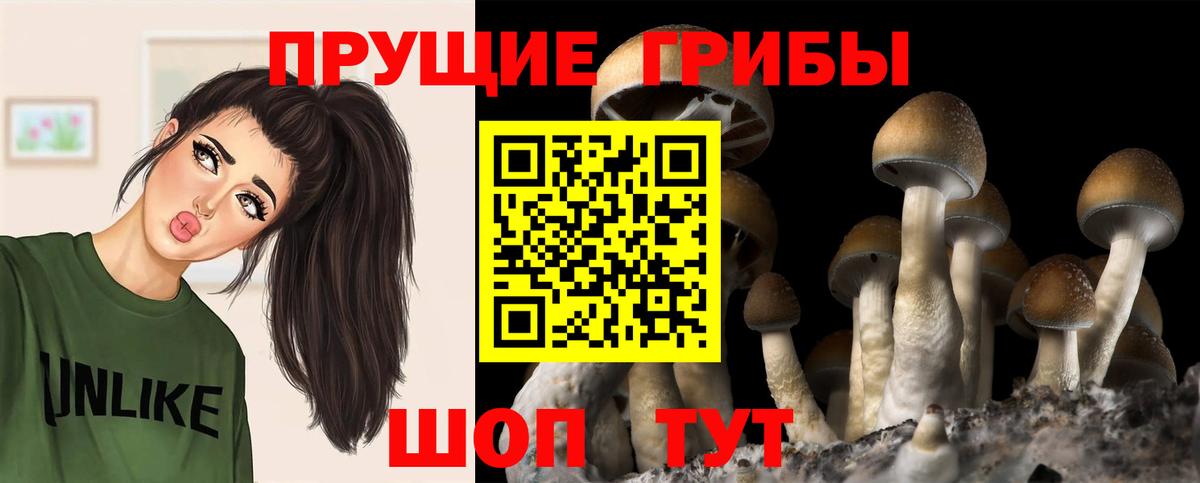 Псилоцибиновые грибы прущие грибы  Вход с VPN  Кировск 